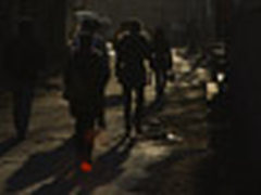 【每日一图】纷乱与简洁在逆光中融合