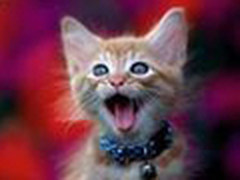 新增32xAA模式是鸡肋 Quadro新驱动揭秘