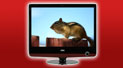 ȫ���LCD AOC��Ʒ����V22+�������