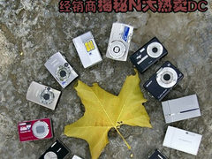 就是它们卖疯了 经销商揭秘N大热卖DC