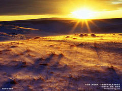 2009年NG摄影大赛中国区优秀作品欣赏！