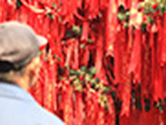 【每日一图】姑苏城外许愿树前的老人 