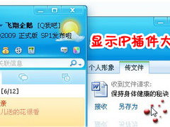 新版珊瑚虫 QQ2009显IP软件大阅兵
