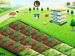不必花钱 手把手教你刷免费QQ农场狗粮