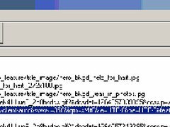 谷歌工具栏现漏洞 导致IE8用户信息泄露