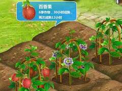 玩家必看！QQ农场最新种子及新装扮发布