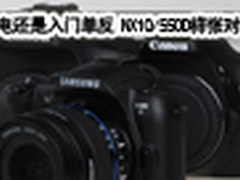 要单电还是入门单反 NX10/550D样张对比