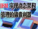 ����ǻ���ҵ ����IBM��̬�ܹ���������
