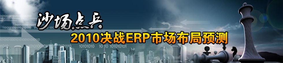 2010��սERP�г�
