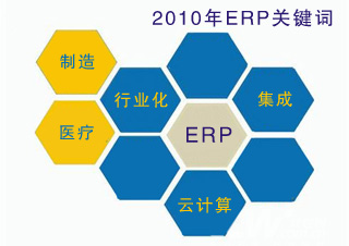 2010��սERP�г�